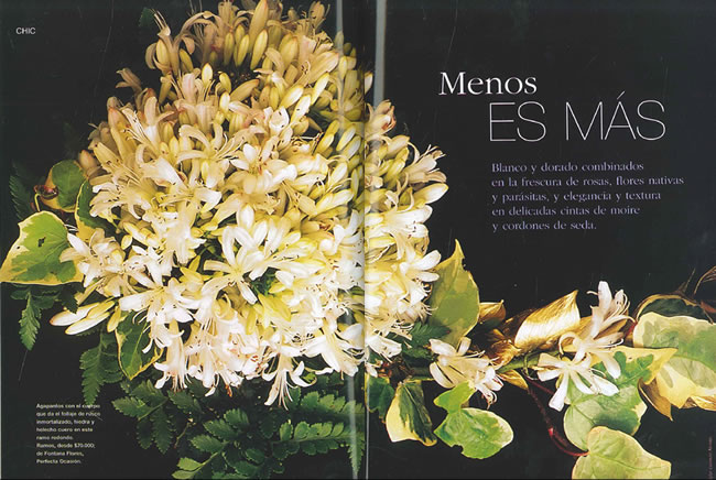 articulo novias